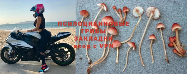 PSILOCYBIN Верхний Тагил